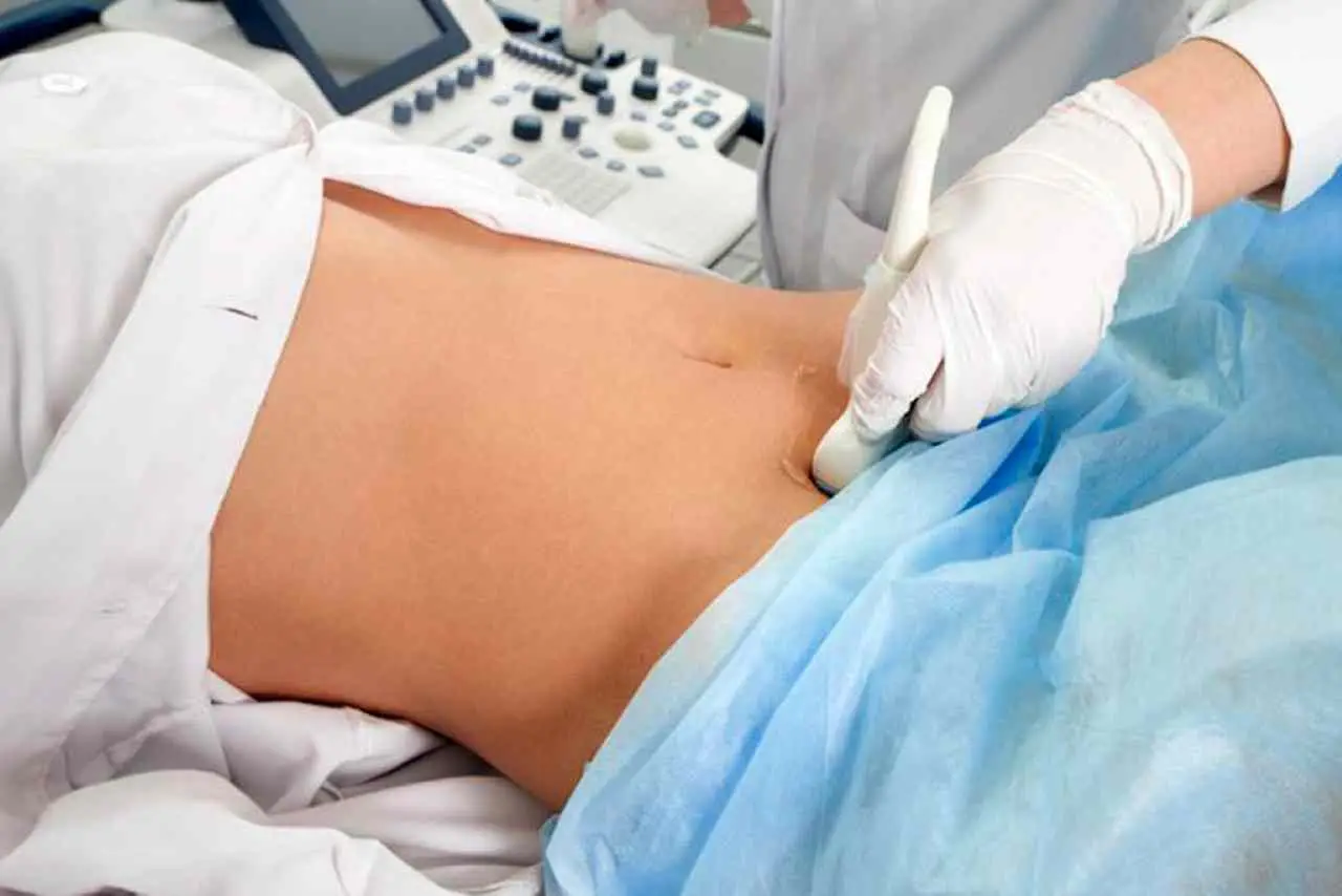 SNE: ecco cosa significa davvero questa sigla che usiamo spesso senza saperlo