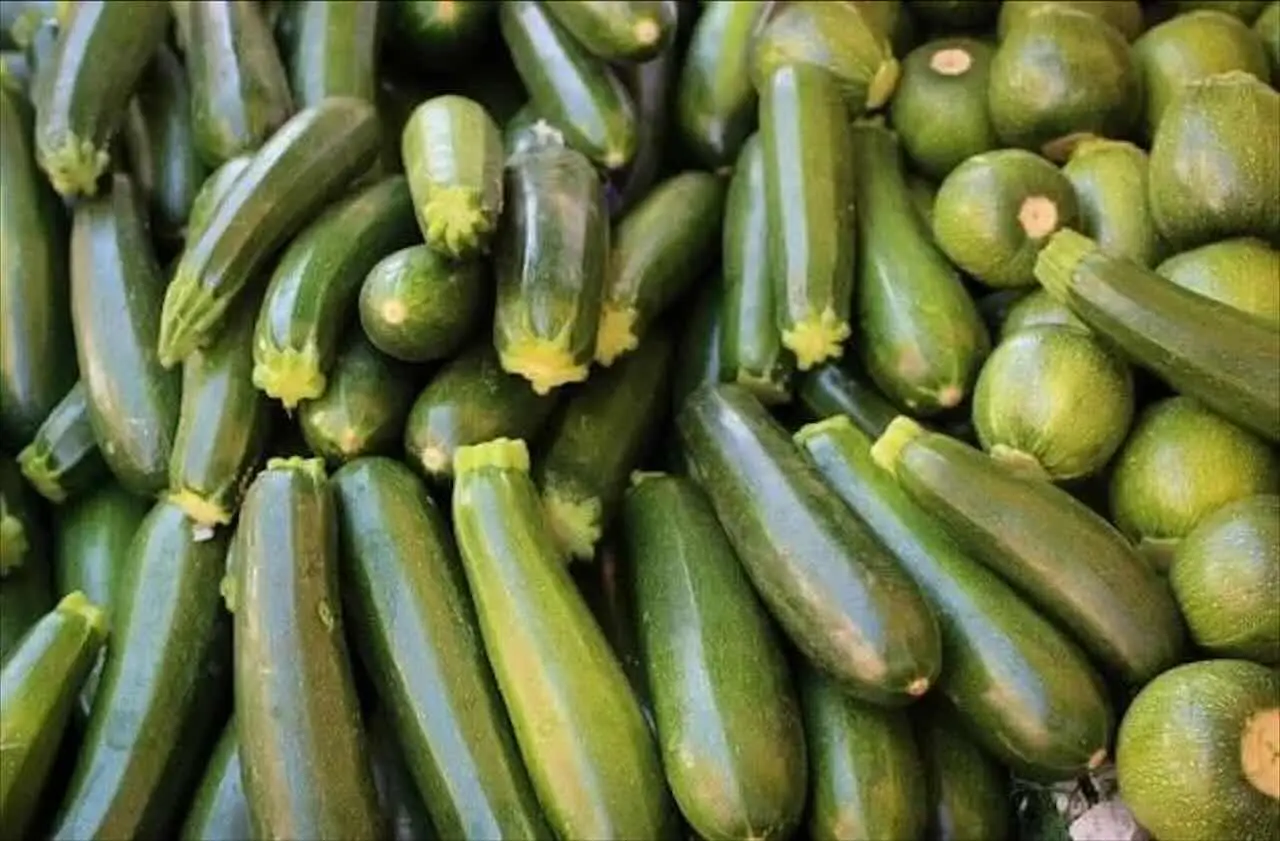 Cosa puoi piantare vicino alle zucchine? Ecco gli abbinamenti corretti